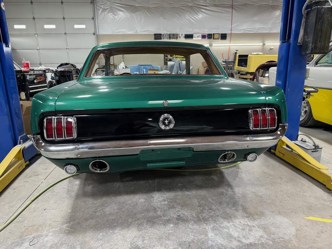 FRESH PAINT — REAR